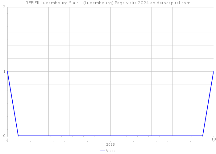 REEIFII Luxembourg S.a.r.l. (Luxembourg) Page visits 2024 