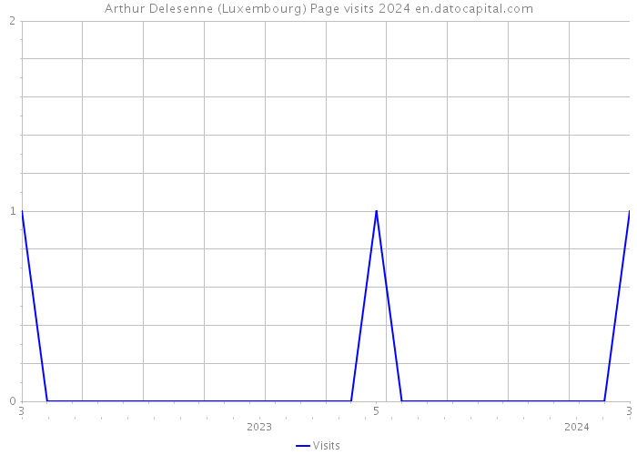 Arthur Delesenne (Luxembourg) Page visits 2024 