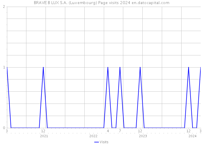 BRAVE B LUX S.A. (Luxembourg) Page visits 2024 