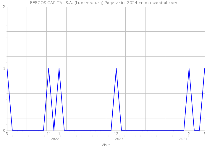 BERGOS CAPITAL S.A. (Luxembourg) Page visits 2024 