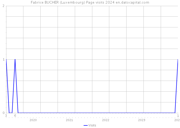 Fabrice BUCHER (Luxembourg) Page visits 2024 