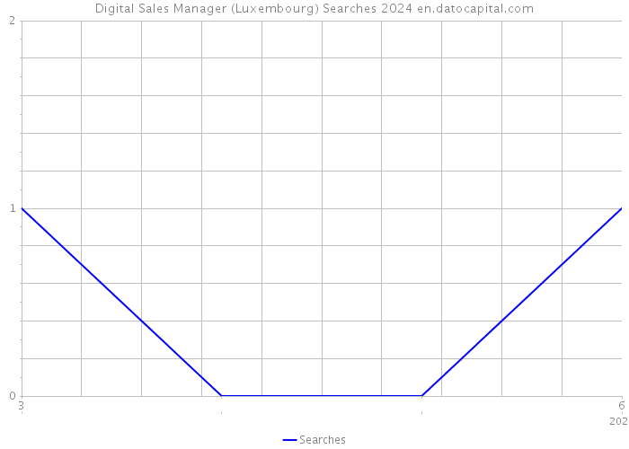 Digital Sales Manager (Luxembourg) Searches 2024 