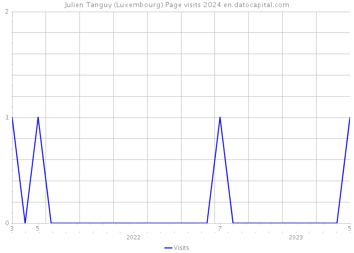 Julien Tanguy (Luxembourg) Page visits 2024 