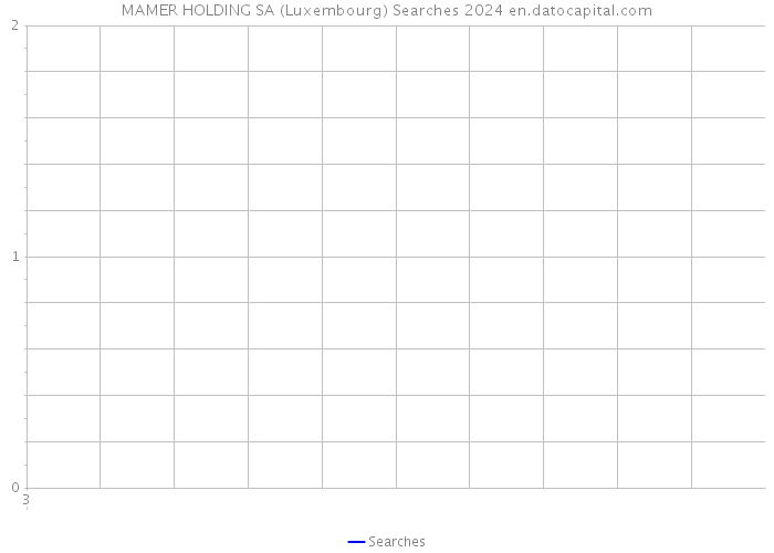 MAMER HOLDING SA (Luxembourg) Searches 2024 