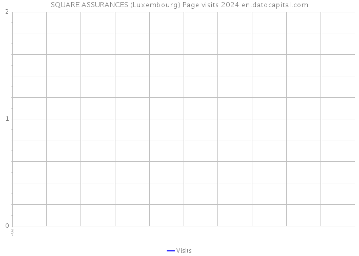 SQUARE ASSURANCES (Luxembourg) Page visits 2024 