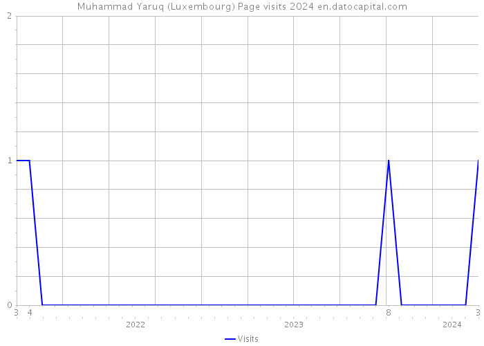 Muhammad Yaruq (Luxembourg) Page visits 2024 