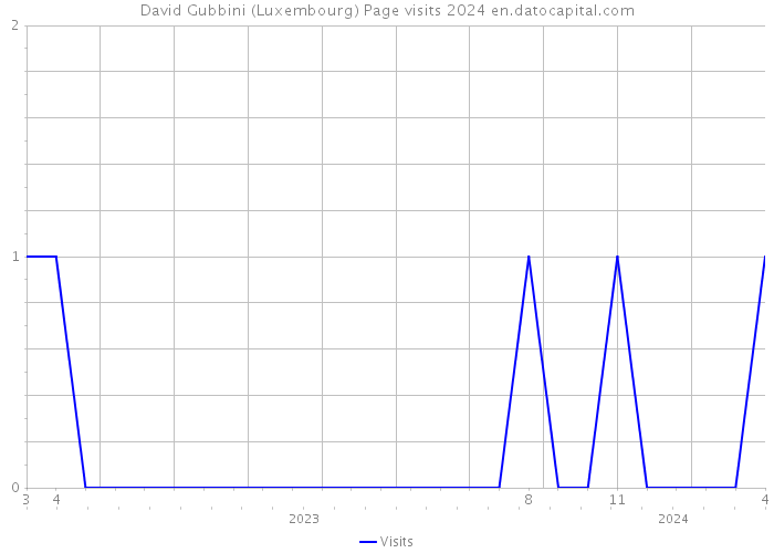 David Gubbini (Luxembourg) Page visits 2024 