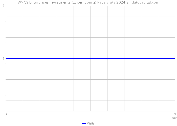 WMGS Enterprises Investments (Luxembourg) Page visits 2024 
