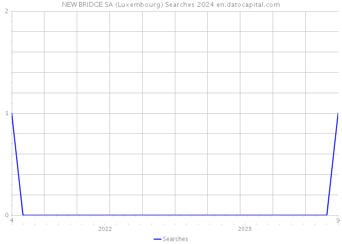NEW BRIDGE SA (Luxembourg) Searches 2024 