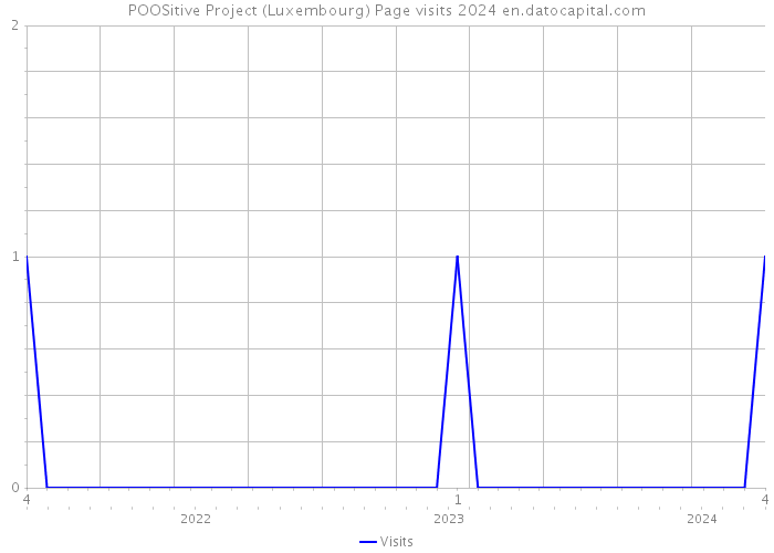 POOSitive Project (Luxembourg) Page visits 2024 