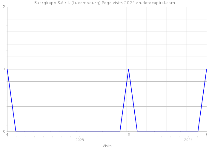 Buergkapp S.à r.l. (Luxembourg) Page visits 2024 