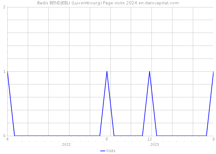 Badis BENDJEBLI (Luxembourg) Page visits 2024 