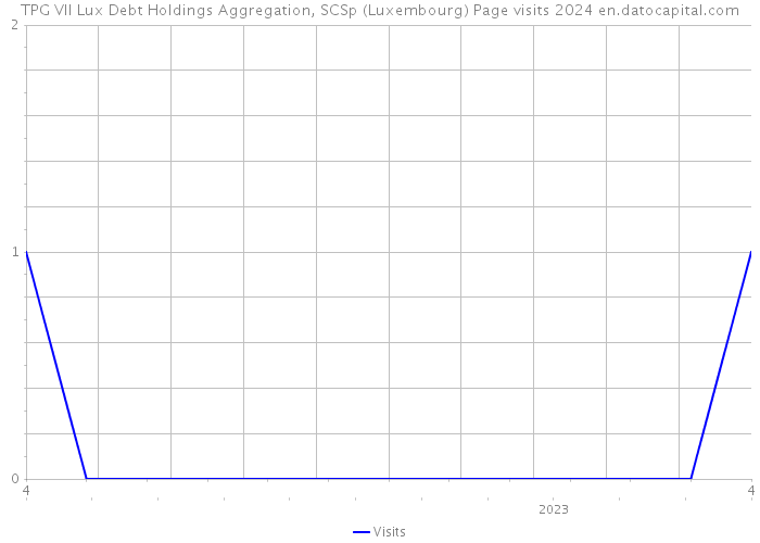 TPG VII Lux Debt Holdings Aggregation, SCSp (Luxembourg) Page visits 2024 