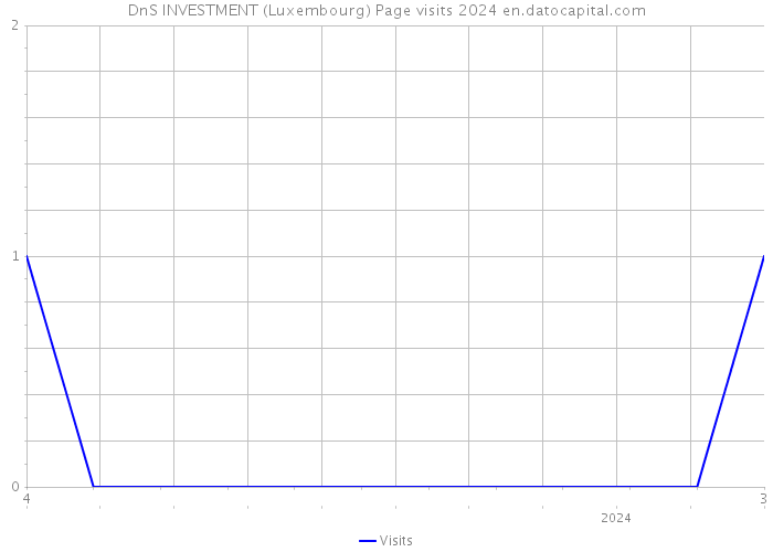 DnS INVESTMENT (Luxembourg) Page visits 2024 