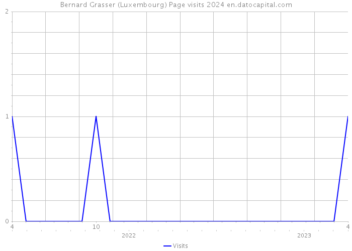 Bernard Grasser (Luxembourg) Page visits 2024 