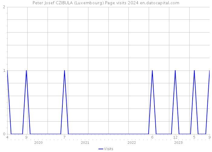 Peter Josef CZIBULA (Luxembourg) Page visits 2024 
