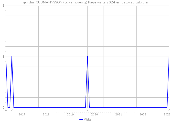 gurdur GUDMANNSSON (Luxembourg) Page visits 2024 