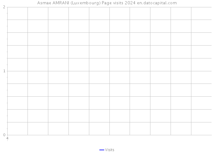 Asmae AMRANI (Luxembourg) Page visits 2024 