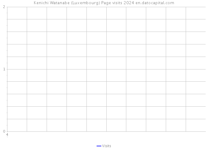 Kenichi Watanabe (Luxembourg) Page visits 2024 