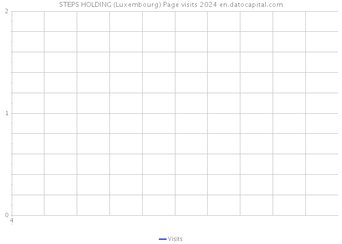 STEPS HOLDING (Luxembourg) Page visits 2024 