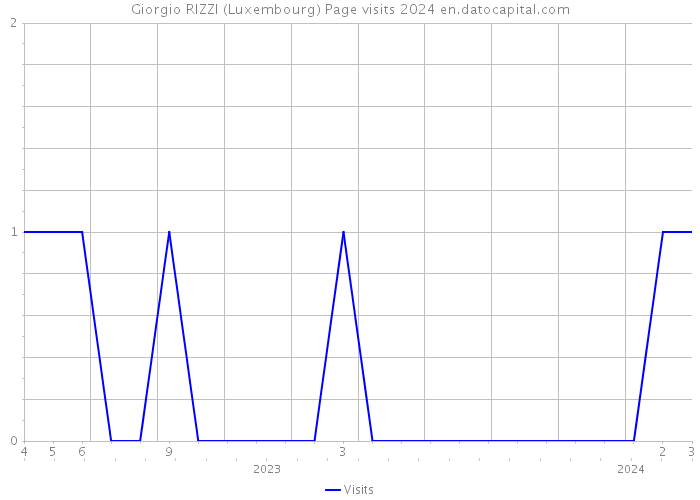 Giorgio RIZZI (Luxembourg) Page visits 2024 