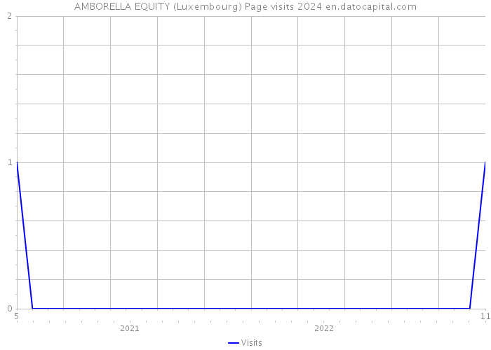 AMBORELLA EQUITY (Luxembourg) Page visits 2024 