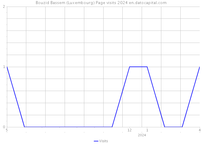 Bouzid Bassem (Luxembourg) Page visits 2024 
