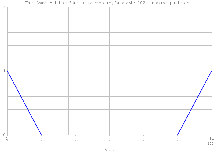 Third Wave Holdings S.à r.l. (Luxembourg) Page visits 2024 