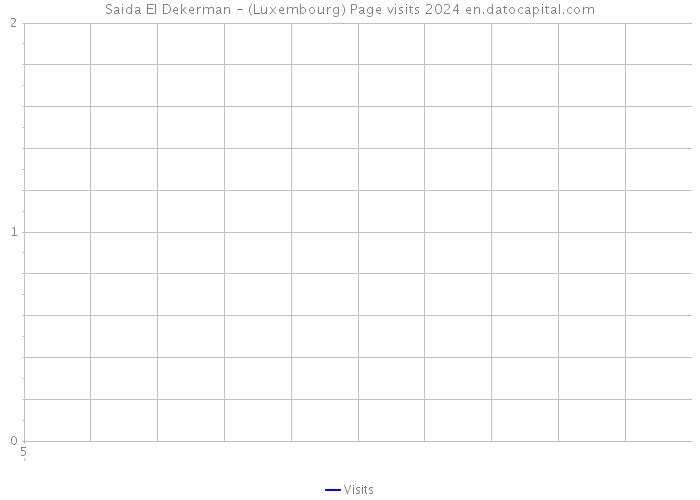 Saida El Dekerman - (Luxembourg) Page visits 2024 
