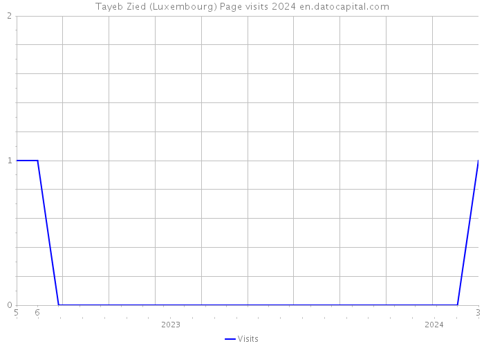 Tayeb Zied (Luxembourg) Page visits 2024 