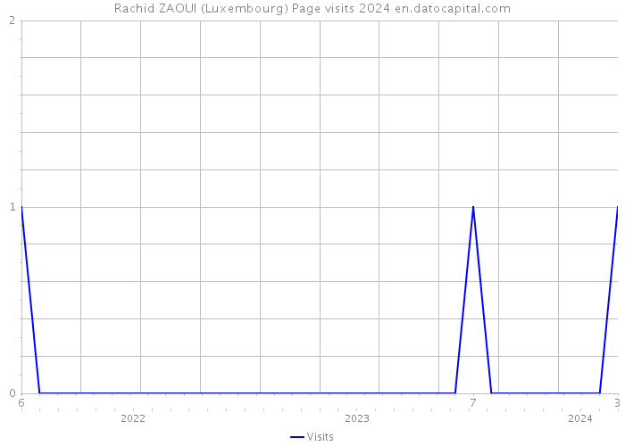 Rachid ZAOUI (Luxembourg) Page visits 2024 