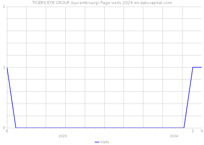 TIGERS EYE GROUP (Luxembourg) Page visits 2024 