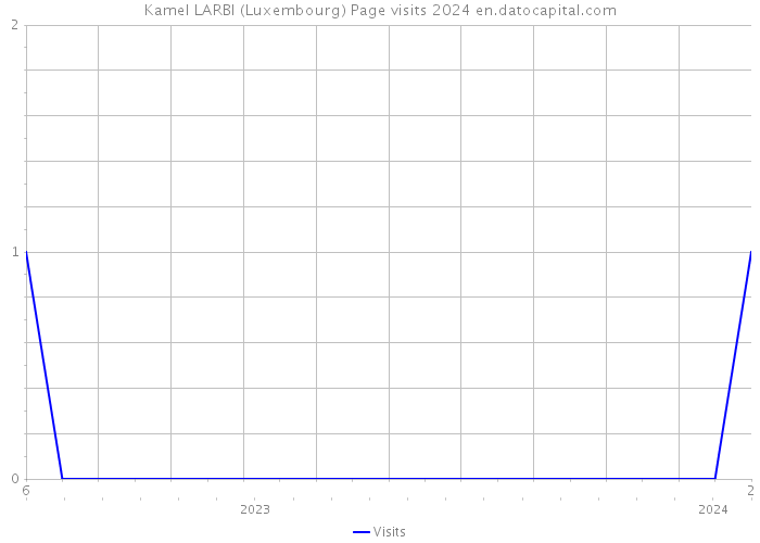 Kamel LARBI (Luxembourg) Page visits 2024 
