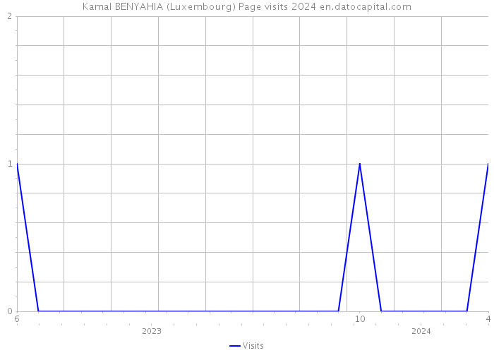 Kamal BENYAHIA (Luxembourg) Page visits 2024 