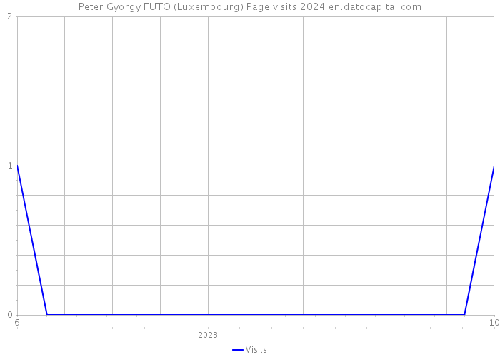 Peter Gyorgy FUTO (Luxembourg) Page visits 2024 