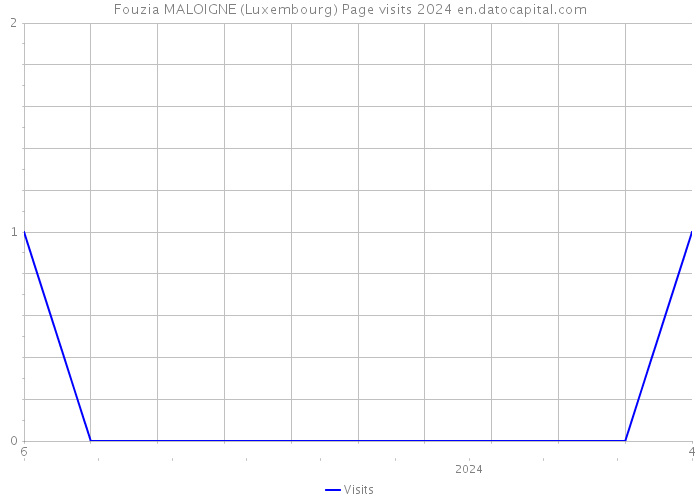 Fouzia MALOIGNE (Luxembourg) Page visits 2024 