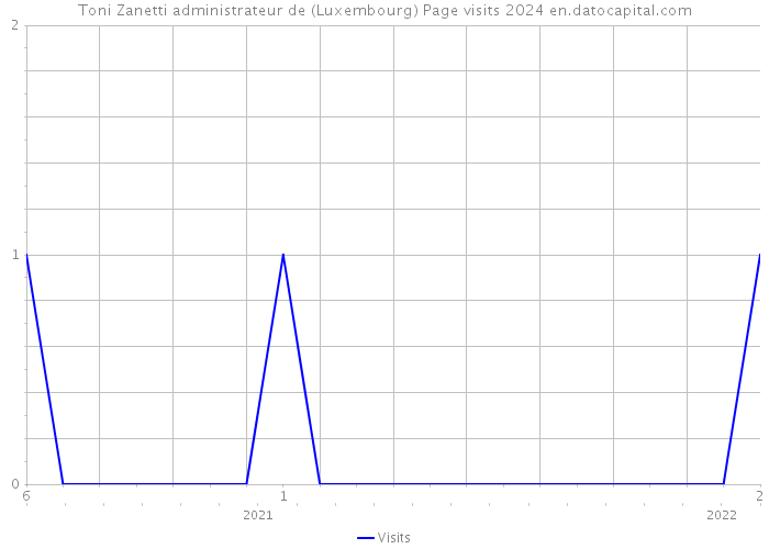 Toni Zanetti administrateur de (Luxembourg) Page visits 2024 