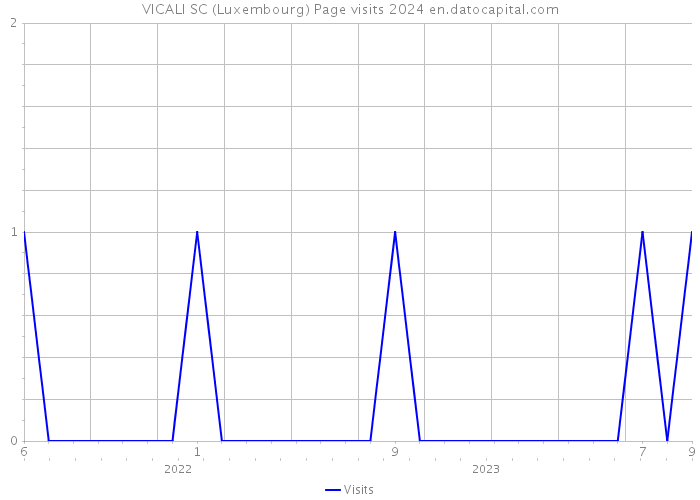 VICALI SC (Luxembourg) Page visits 2024 