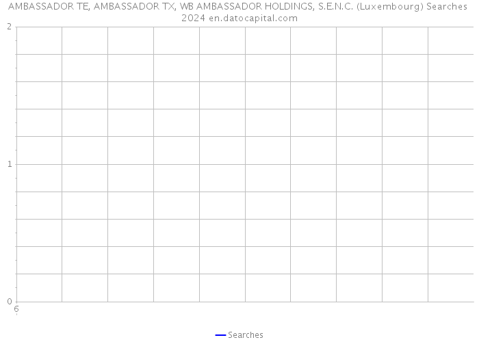 AMBASSADOR TE, AMBASSADOR TX, WB AMBASSADOR HOLDINGS, S.E.N.C. (Luxembourg) Searches 2024 