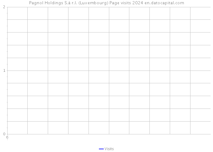 Pagnol Holdings S.à r.l. (Luxembourg) Page visits 2024 