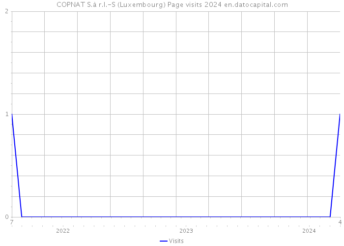 COPNAT S.à r.l.-S (Luxembourg) Page visits 2024 
