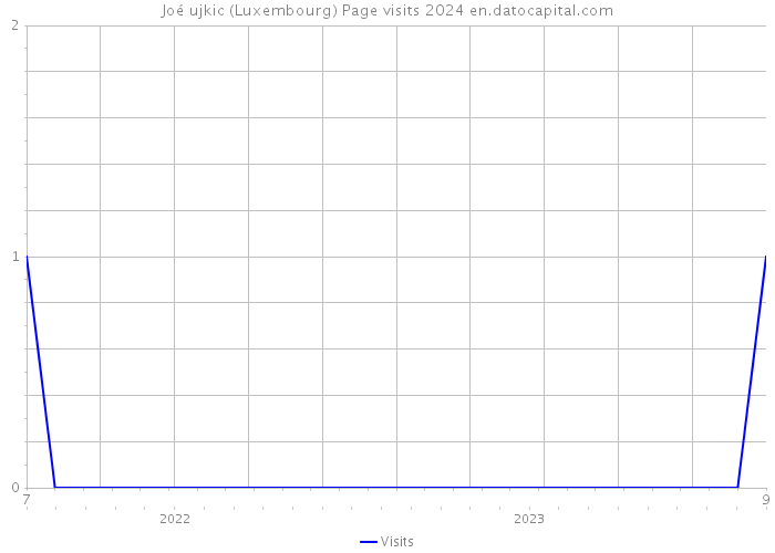 Joé ujkic (Luxembourg) Page visits 2024 