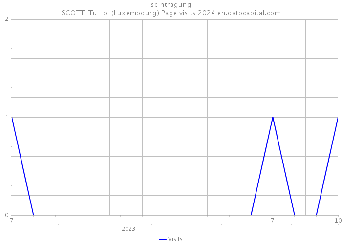 seintragung SCOTTI Tullio (Luxembourg) Page visits 2024 