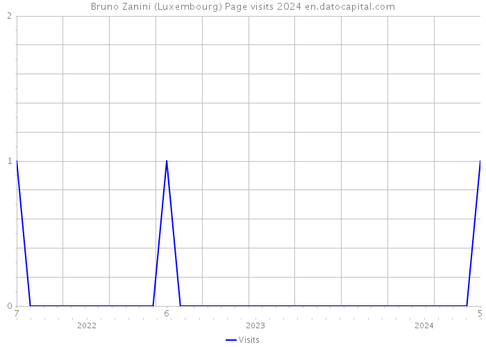 Bruno Zanini (Luxembourg) Page visits 2024 