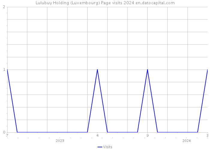 Lulubuy Holding (Luxembourg) Page visits 2024 