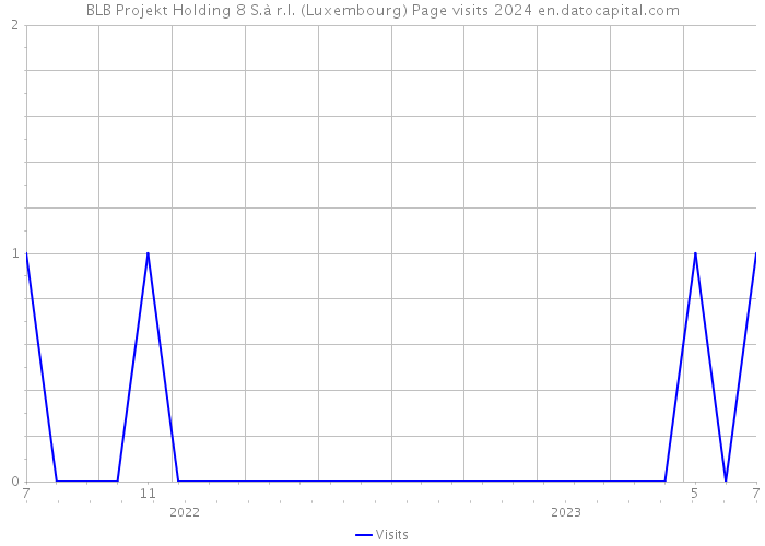 BLB Projekt Holding 8 S.à r.l. (Luxembourg) Page visits 2024 