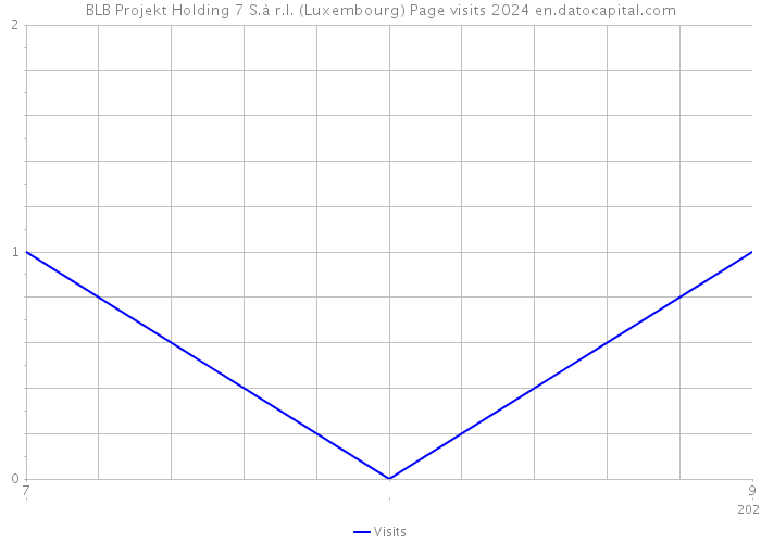 BLB Projekt Holding 7 S.à r.l. (Luxembourg) Page visits 2024 