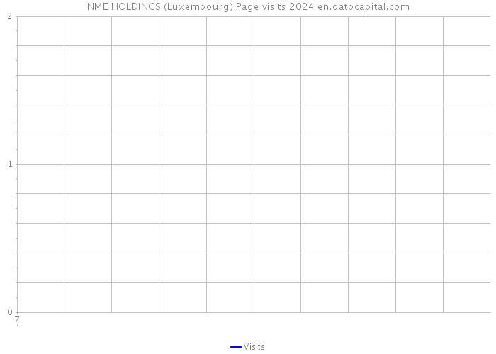 NME HOLDINGS (Luxembourg) Page visits 2024 