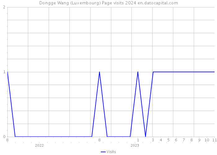 Dongge Wang (Luxembourg) Page visits 2024 