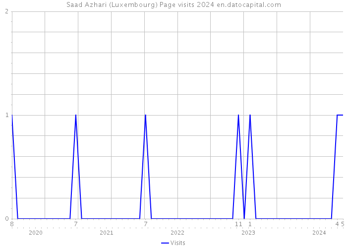 Saad Azhari (Luxembourg) Page visits 2024 